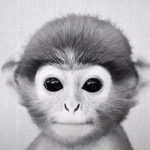 Meet your Posher, Ava